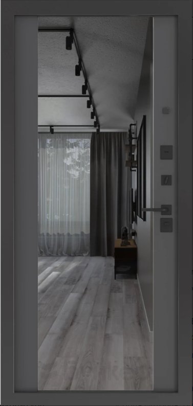 Товар Дверь BN-01.1 DIS006812