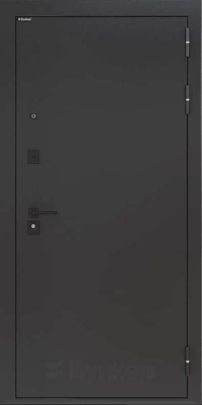 Товар Дверь BN-01.1 DIS006812