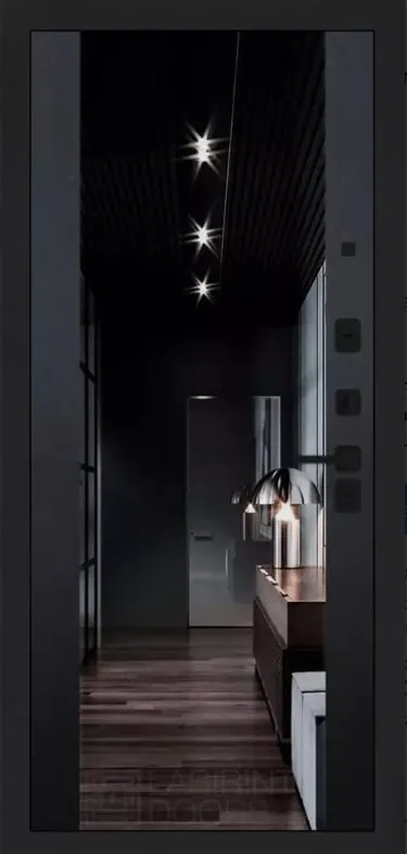 Товар Дверь EVOLAB DIS007317